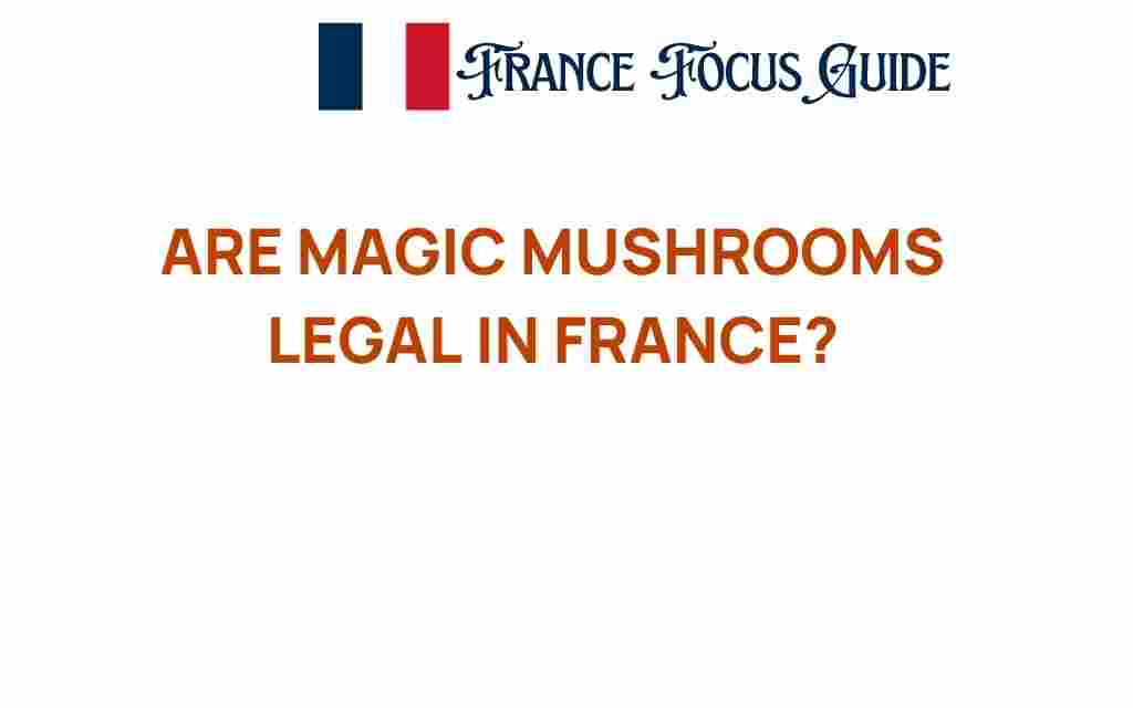 are-magic-mushrooms-legal-in-france