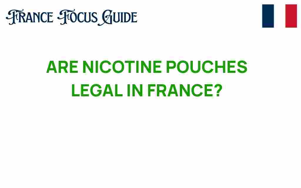 are-nicotine-pouches-legal-in-france