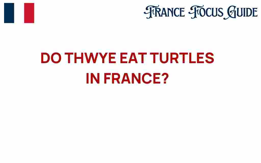 do-they-eat-turtles-in-france