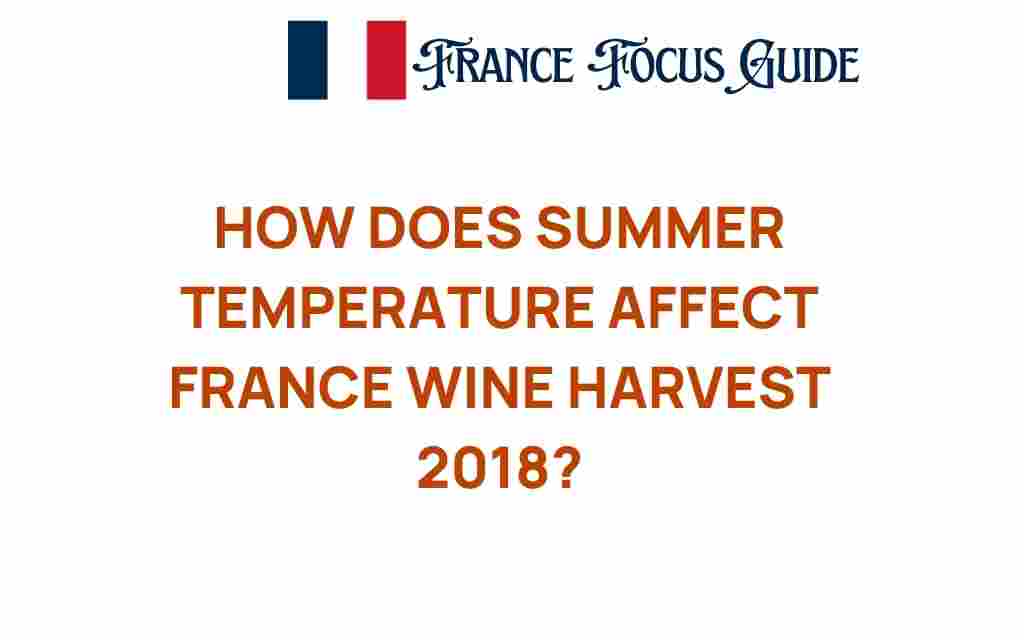 summer-temperature-france-wine-harvest-2018