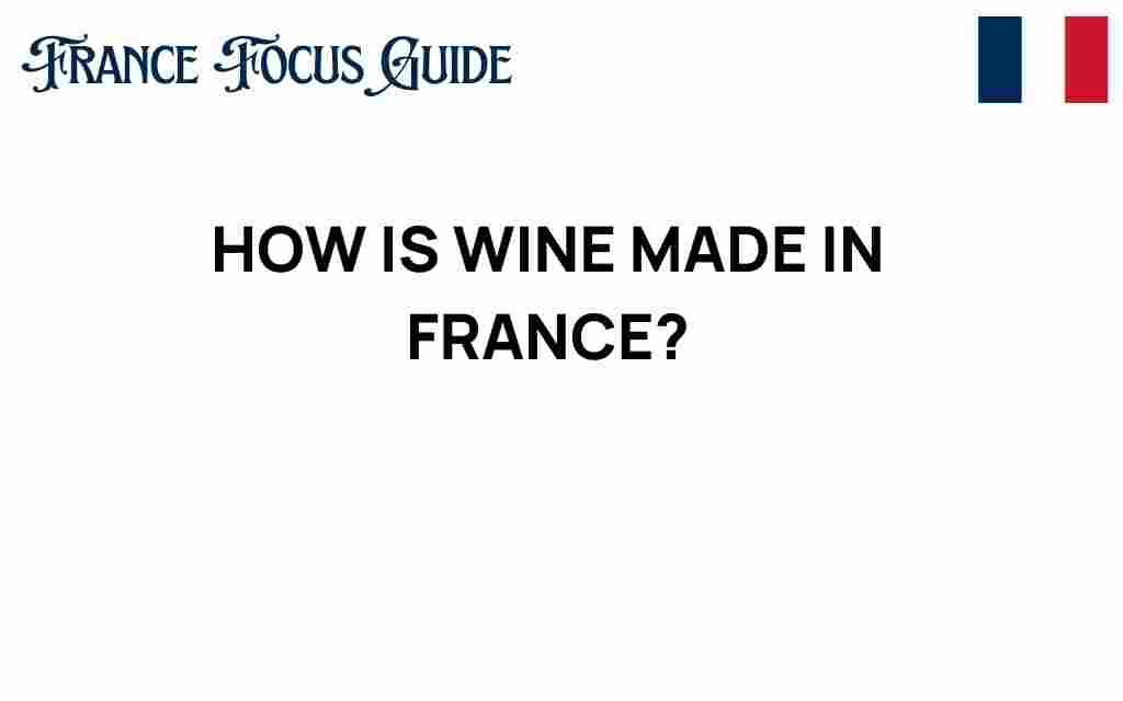 wine-making-in-france
