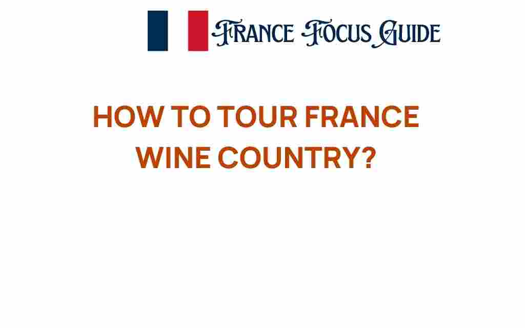 how-to-tour-france-wine-country