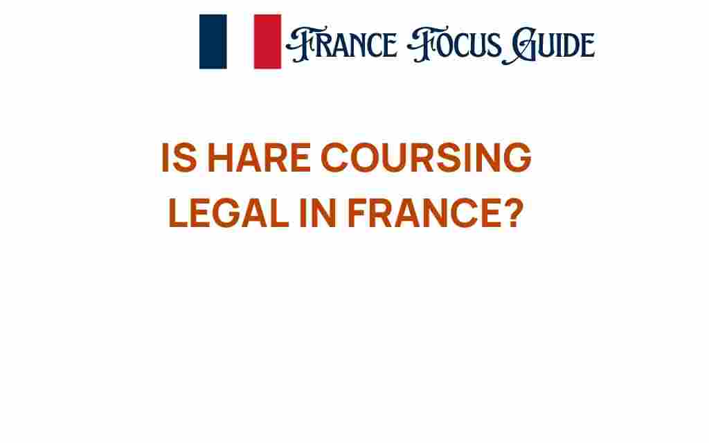 is-hare-coursing-legal-in-france