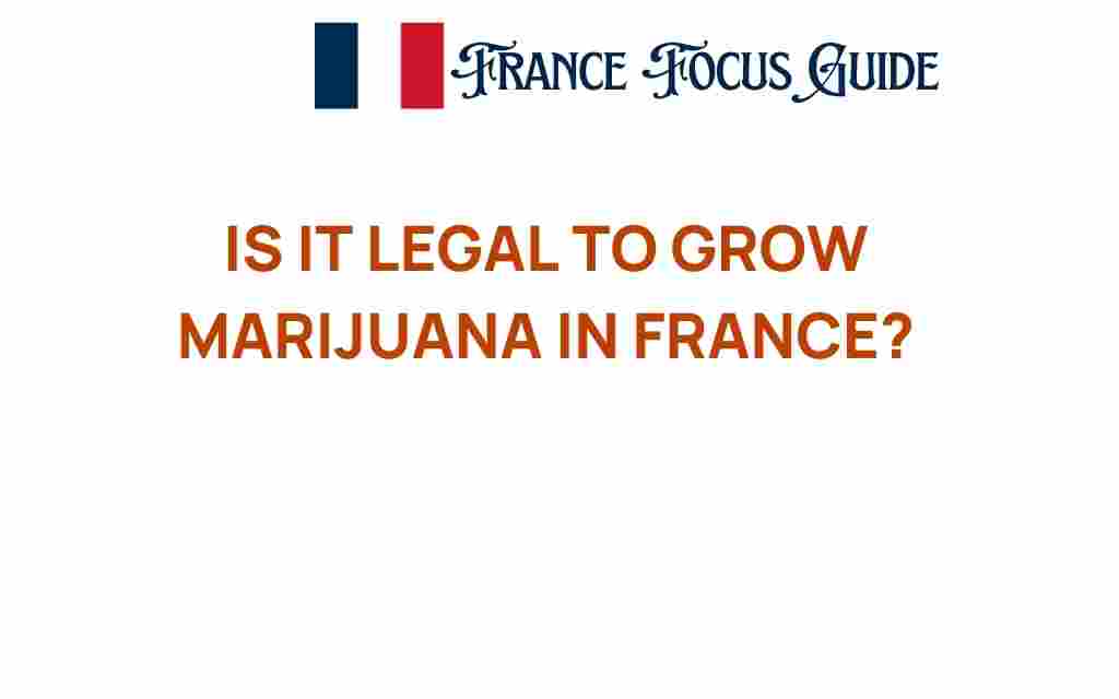 is-it-legal-to-grow-marijuana-in-france