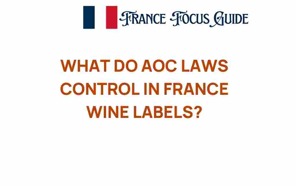 aoc-laws-french-wine-labels