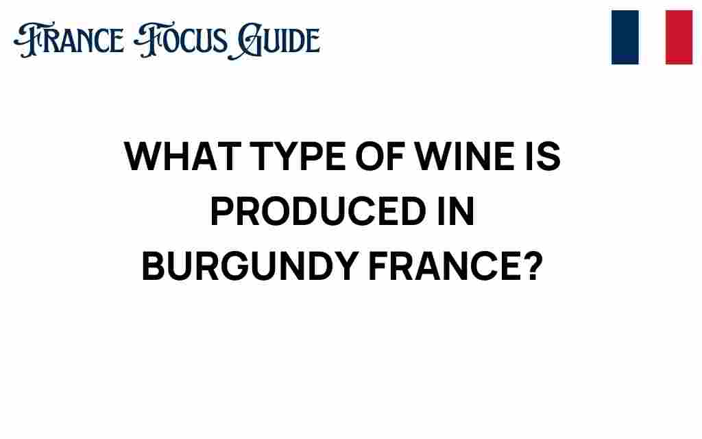 burgundy-wine-exquisite-france